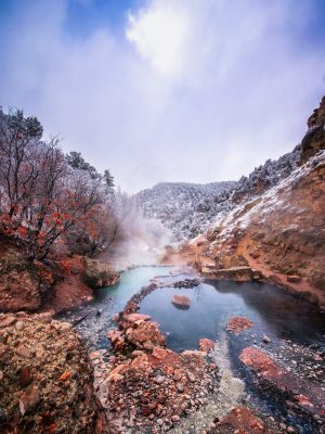 Winter Oasis