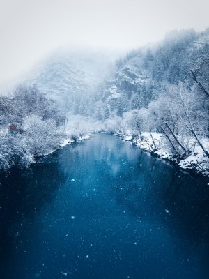 Enchanted Winter