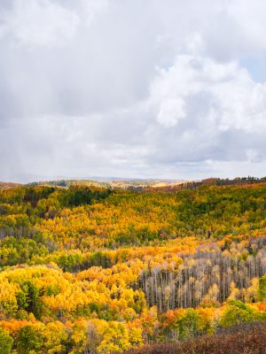 DSC04372