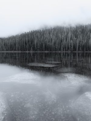 DSC08508