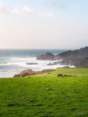 DSC09407